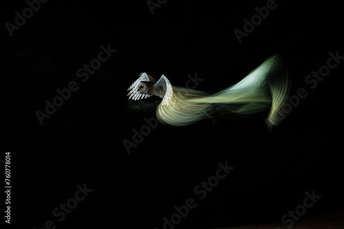 fotografia de una lechuza volando © fransuarez