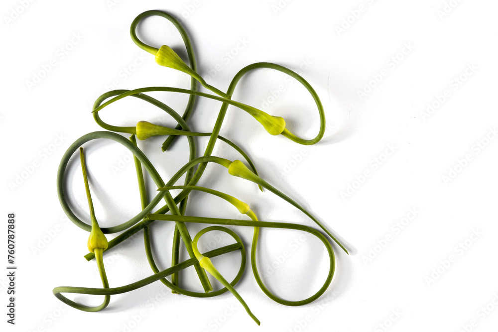 Bunch of Vibrant Green Garlic Scapes on White Bunch of Vibrant Green Garlic Scapes on White