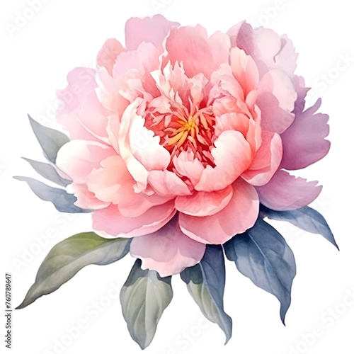 Watercolor illustration of peony flower, isolated on white. Botanical illustration, ai generated in realistic hand drawn style.