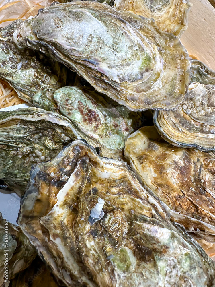 Fresh juicy sea oysters, French delicotes