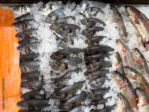 Fresh Trout, Dorado and Salmon on ice on the counter photo