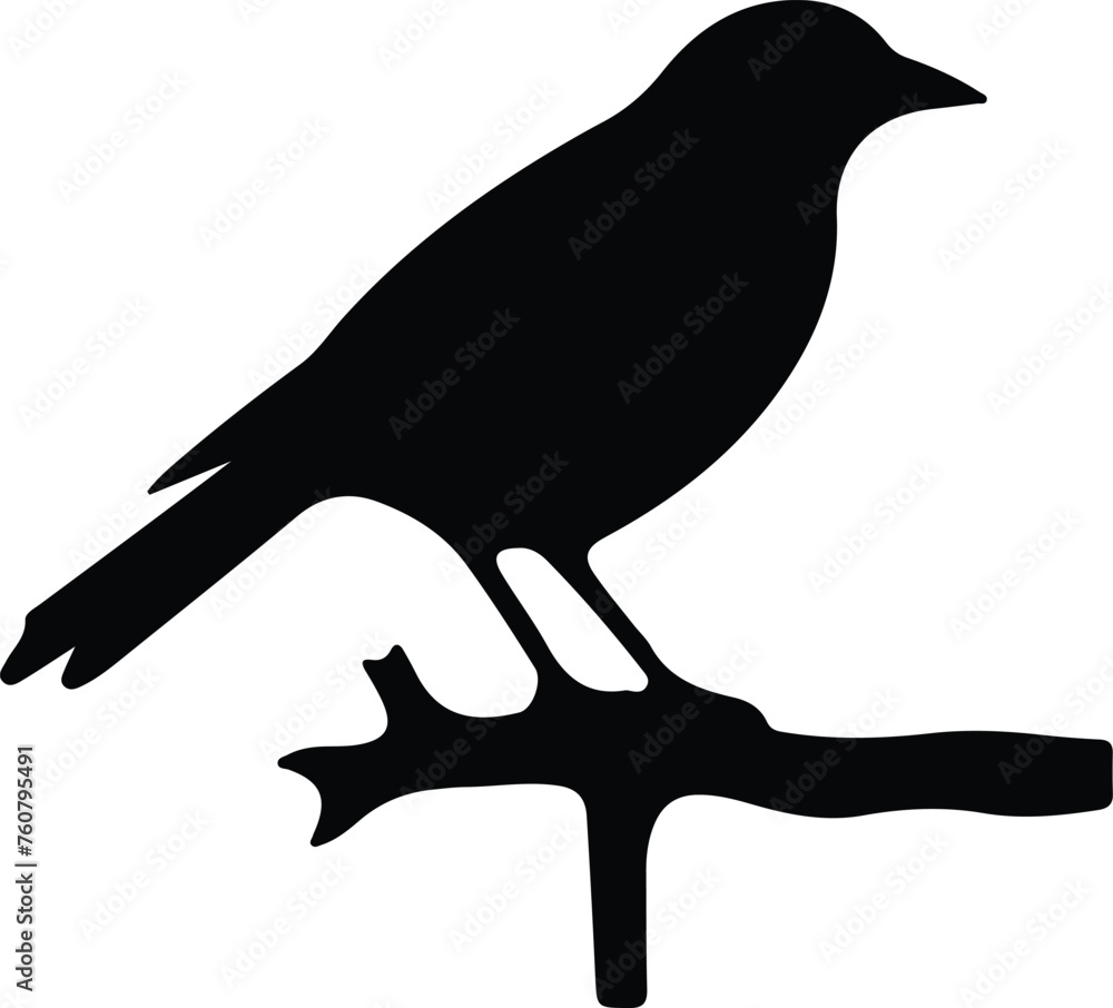 Obraz premium bird silhouette