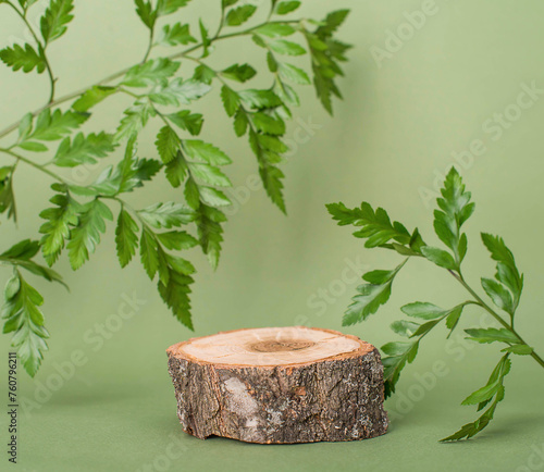 Wooden sawcut product stage or podium with copy-space for product presentation over green background  with green leaves. © Polina Ponomareva