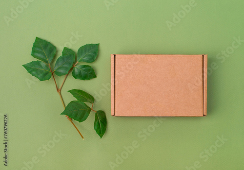Mockup. Cardboard box on green background with green leaves top view. © Polina Ponomareva