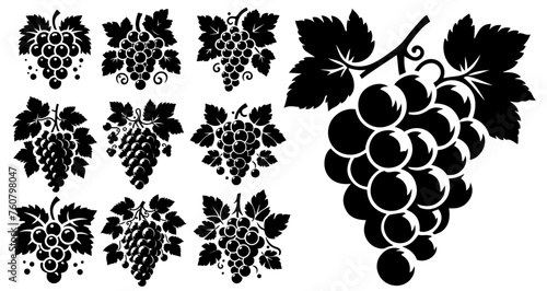  Grapes Silhouettes - Grape Vectors