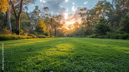 Lush green lawn with trees in the soft morning light at Horsham Botanic Gardens in VIC, Australia. , generated with AI photo