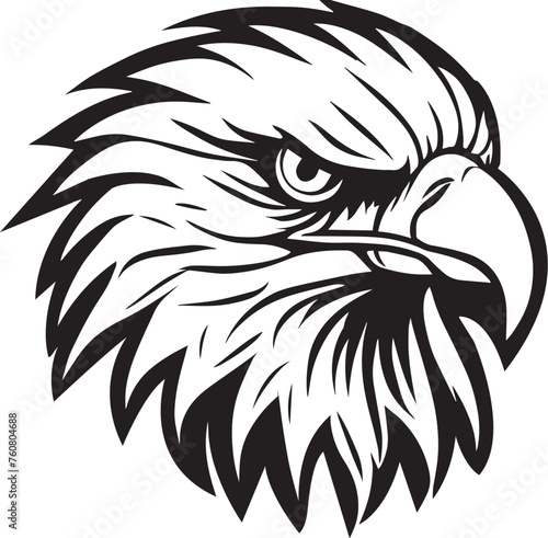 Bald Eagle Head Illustration