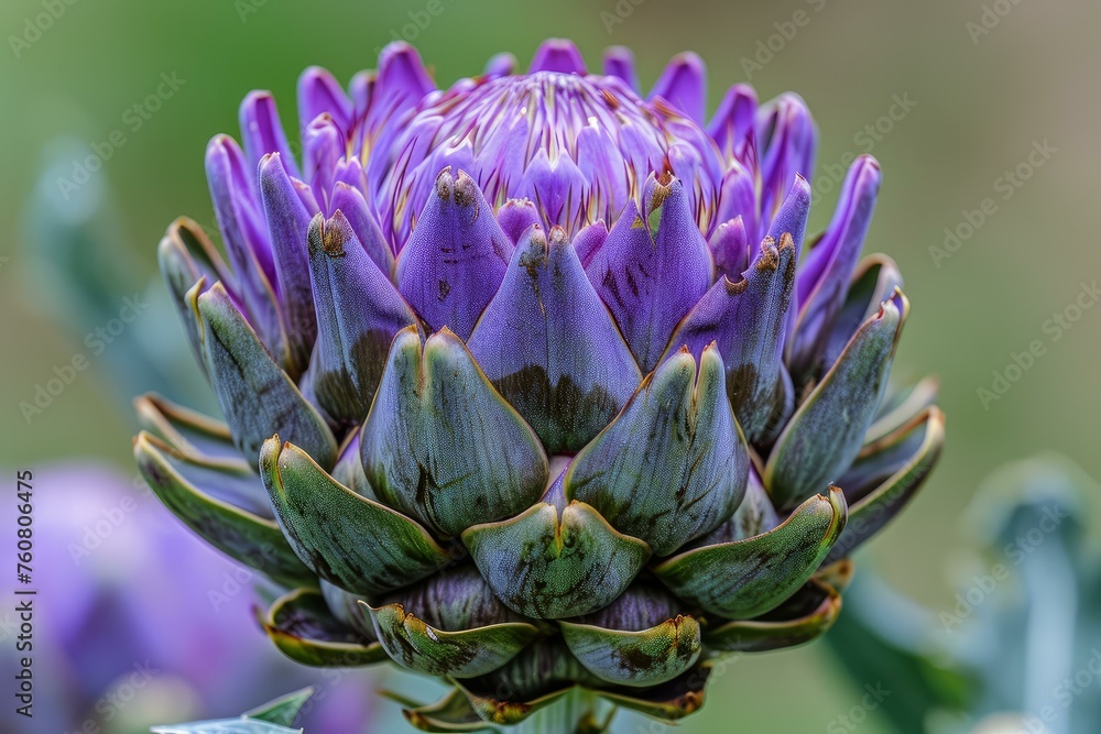 Exotic Artichoke flowers plant. Organic garden. Generate Ai Exotic Artichoke flowers plant. Organic garden. Generate Ai