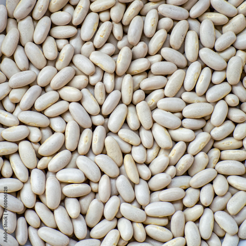 White haricot beans background. Healthy dried uncooked seeds stacked together White haricot beans background. Healthy dried uncooked seeds stacked together