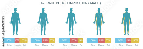 Scientifically referred to as adipocytes or adipose tissue body fat is the term used to describe fat cells that reside inside the human body chart. Male Female body composition vector illustration.