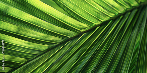 close-up of a green plant © Jonas Weinitschke