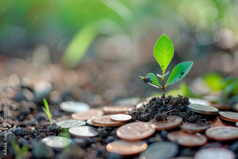 Conceptual image of a money plant growing on coins Symbolizing financial growth and investment savings over time - obrazy, fototapety, plakaty 