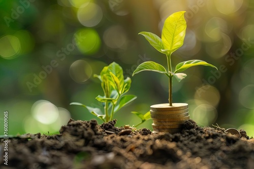 Conceptual image of a money plant growing on coins Symbolizing financial growth and investment savings over time
