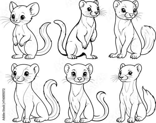 Mustela nivalis hand drawn coloring page and outline vector design