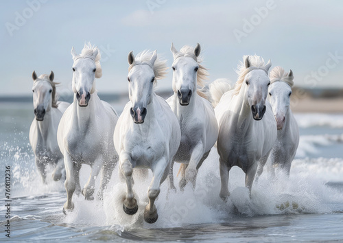 Seis hermosos caballos blancos corriendo sobre el agua de la orilla de una playa  sobre fondo de cielo azul