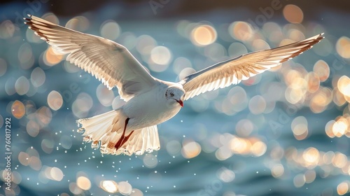 Seagull Flying Over Ocean