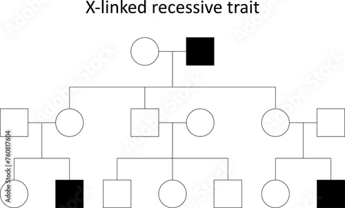 Pedigree. X-linked recessive trait.