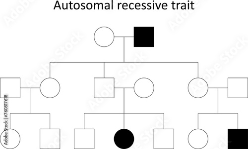 Pedigree. Autosomal recessive trait. photo