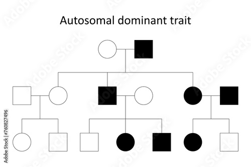 Pedigree. Autosomal dominant trait.