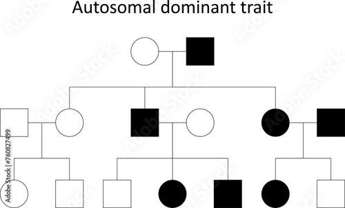 Pedigree. Autosomal dominant trait.