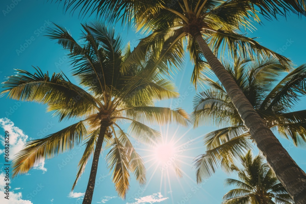 Summer breeze through palm trees, gently swaying; Ocean breeze, palm trees dancing in the sunlight. Summer breeze through palm trees, gently swaying; Ocean breeze, palm trees dancing in the sunlight.