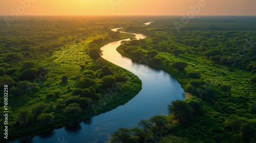 River Flowing Through Lush Green Forest