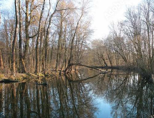Jezioro Wilanowskie na początku wiosny © Grzegorz