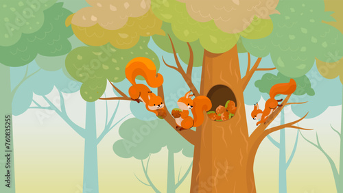 Squirrel in forest storing food and nuts for winter. Cartoon squirrels on tree branch and in hollow. Nature wild animals nowaday vector children illustration