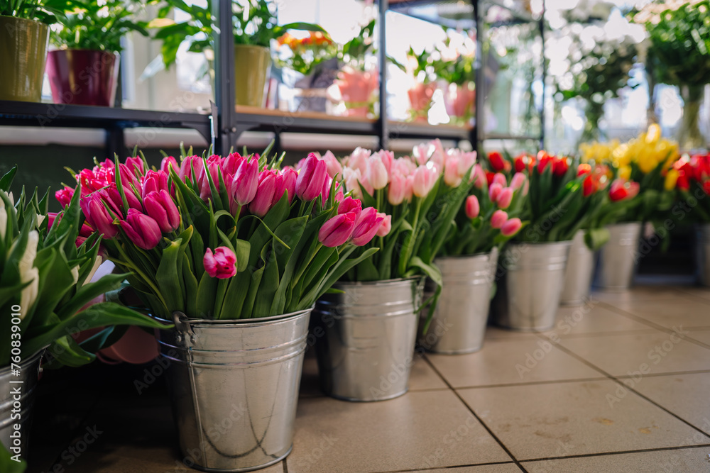 Valmiera, Latvia - March 7, 2024 - several metal buckets filled with blooming pink, white, and yellow tulips arranged in a flower shop with a sunny window in the background.