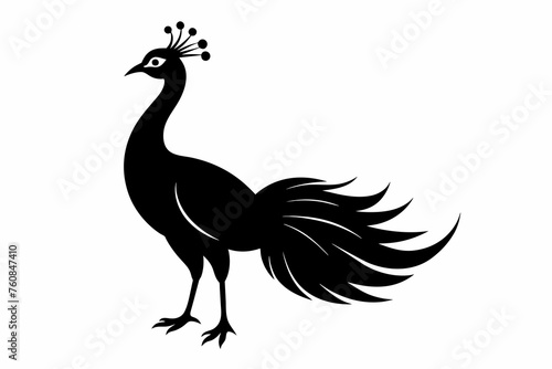 peacock silhouette vector on white background.