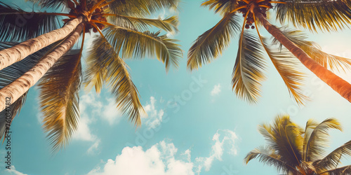 A view from below for the palms and blue sky with white clouds.