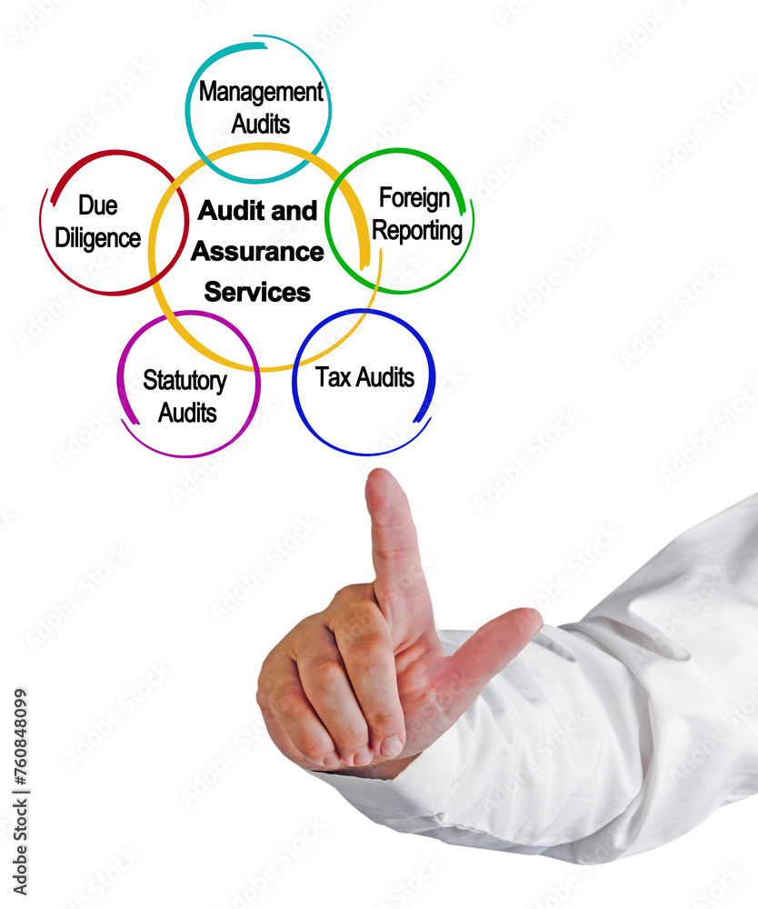 Fototapeta premium Five Audit and Assurance Services