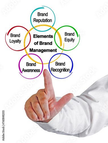 Five Components of Brand Management