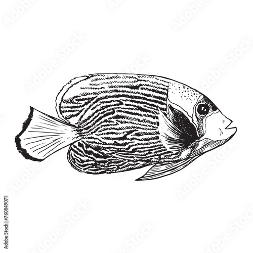 Watercolor aquatic underwater colorful tropical fish set. Red sea and exotic fishes inside. Sketch elements for background, texture, wrapper pattern.