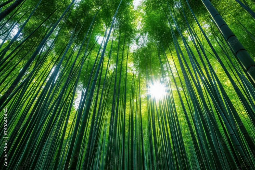 Bamboo forest daylight. Plant place. Generate Ai Bamboo forest daylight. Plant place. Generate Ai