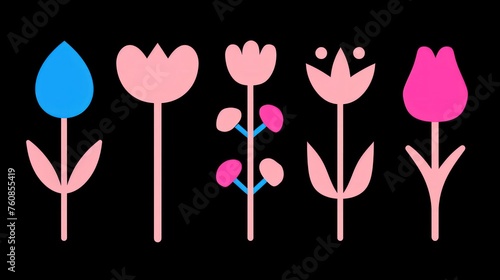 a black background with pink, blue, and pink flowers and a black background with pink and blue flowers and a black background with pink and blue flowers.