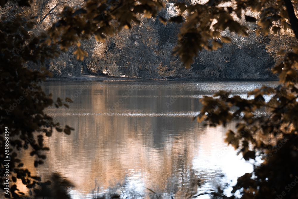 Ausblick am See