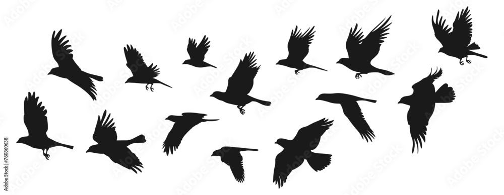 Fototapeta premium Flock of flying birds silhouettes isolated on white background. Wildlife doves vector shapes black sketch