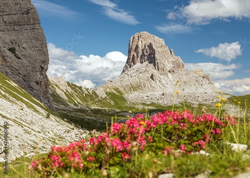 Mount Becco di Mezzodi and red colored mountain flowers