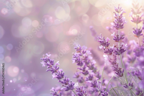 Light purple background with bokeh and lavender flowers, copy space on the left.