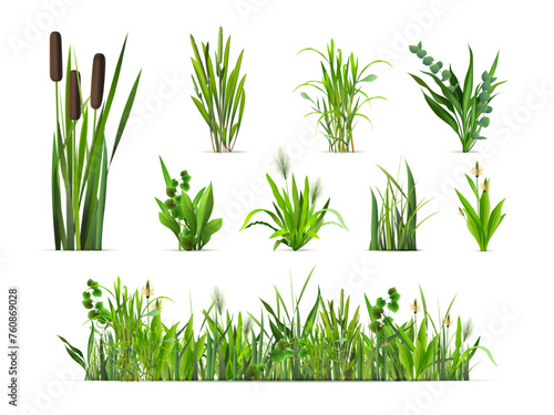 Realistic grass bushes. 3d isolated green vegetation, reed bush sprout forest plants grasses weed bunch farm garden yard summer glade spring field, herbs exact vector illustration