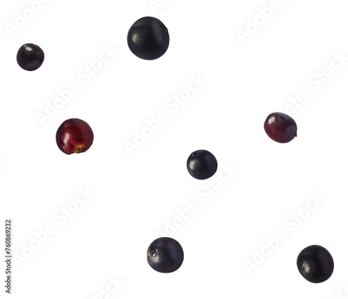 Fresh ripe elderberry falling in the air isolated  on white background. Food levitating or zero gravity conception. photo