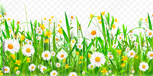 Realistic flowers lawn. Daisy flower easter field spring grass border, blossom chamomile nature garden meadow landscape for banner green plant overlay exact vector illustration