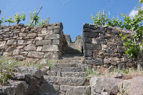 Steile Treppe durch Weinberg in Radebeul photo