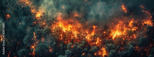  Intense wildfire consuming a forest, with dense smoke and bright flames.