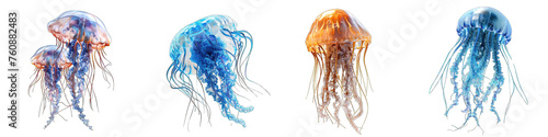 Jellyfish drifting in a gentle current Hyperrealistic Highly Detailed Isolated On Transparent Background Png File