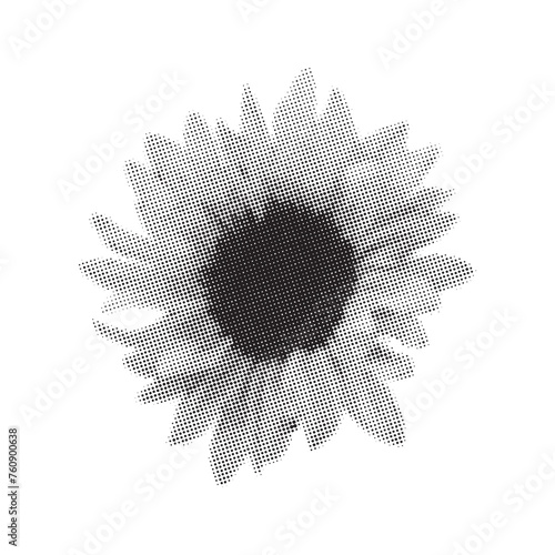 vintage dot pattern, sunflower flower isolated on white, retro modern design