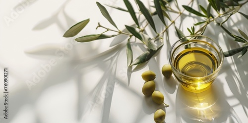 olives olive oil still life rays of light