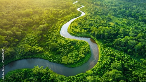 A meandering river cuts through a dense green forest under the bright sunlight.
