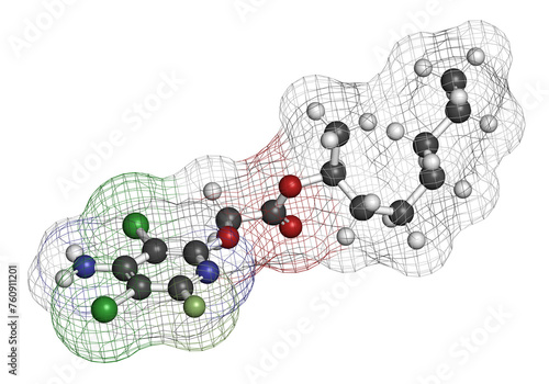 Fluroxypyr herbicide molecule.